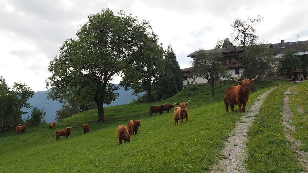 Gasthof Waldemar Hotel Hermagor Esterno foto